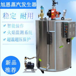 旭恩能源蒸汽鍋爐 圖 家用蒸氣發(fā)生器 蒸氣發(fā)生器高清圖片 高清大圖