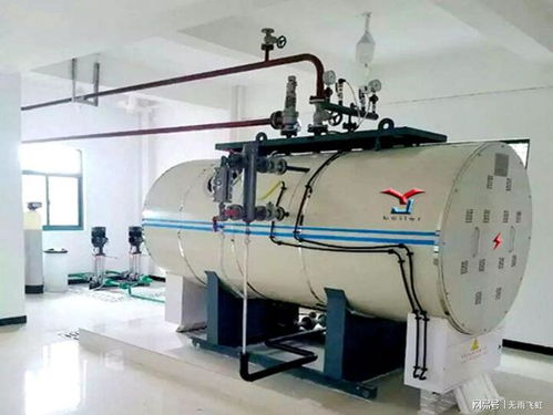 燃氣不銹鋼電開水爐,熱水鍋爐,蒸汽鍋爐安裝調試 使用注意事項