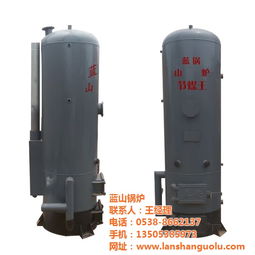 宜賓市豆腐鍋爐 藍(lán)山鍋爐 定做豆腐鍋爐